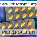 Gelée Orale Kamagra 100Mg cialis2
